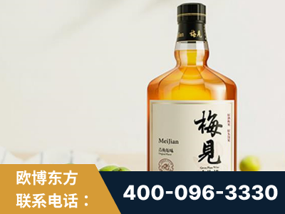 荣成-梅见青梅酒